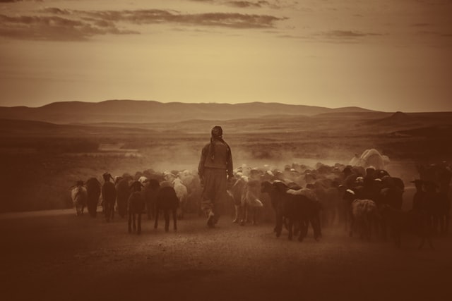 Genesis devotional about the Shepherd