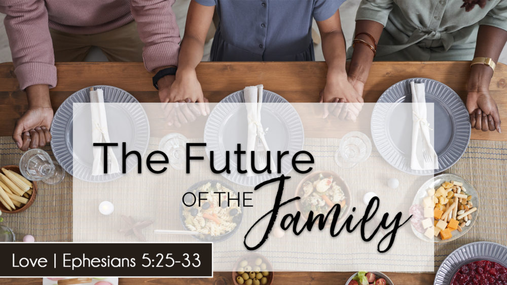 The Future of the Family: Love Image