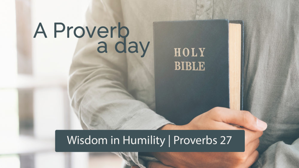 A Proverb A Day: Wisdom in Humility Image